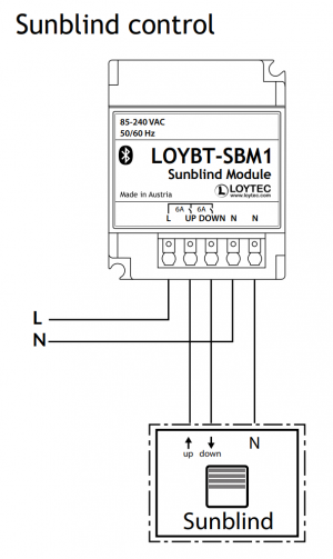 LOYBT-SBM1 graphic