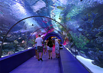 Antalya Aquarium